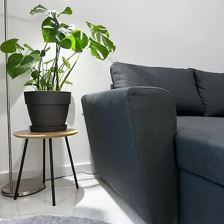Urban Luxury In The Heart Of Skg